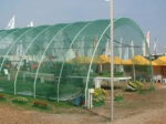plasa-umbrire-1-5-m-inaltime-x-25m-lungime-grad-de-umbrire-4014803.jpg