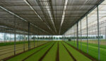 plasa-umbrire-4m-inaltime-x-35m-lungime-grad-de-umbrire-4015073.jpg