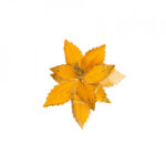 decoratiune-pentru-brad-in-forma-de-floare-culoare-aruriu-dimensiune27419.jpg