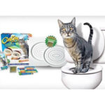 citi-kitty-E28093-kit-pentru-educarea-pisicilor-la-toaleta-0160-shb3829976.jpg